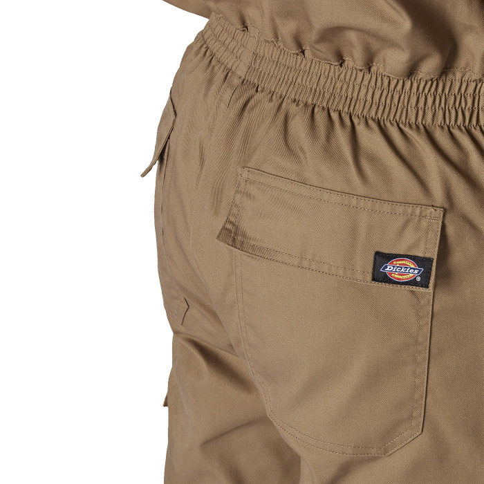 Combinaison professionnelle homme Dickies Workwear