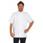 BLANC - Veste de cuisine manches courtes professionnelle de travail à manches courtes mixte restaurant hôtel restauration serveu