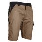 TAUPE/GRIS - Bermuda professionnel de travail homme manutention artisan logistique chantier