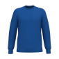 BLEU - Sweat professionnel de travail BIO mixte menage aide a domicile entretien auxiliaire de vie