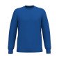 BLEU - Sweat professionnel de travail BIO mixte entretien aide a domicile menage auxiliaire de vie