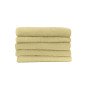 ANIS - Drap de bain professionnel hébergement foyer blanc 100% Coton esthéticienne infirmier coiffeur médical