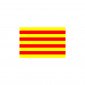 CATALOGNE - Drapeaux professionnel de travail