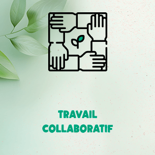 travail collaboratif
