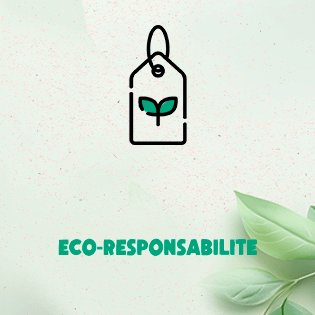 collection eco responsable