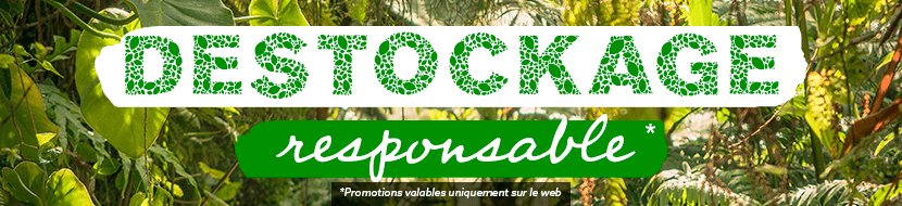destockage responsable