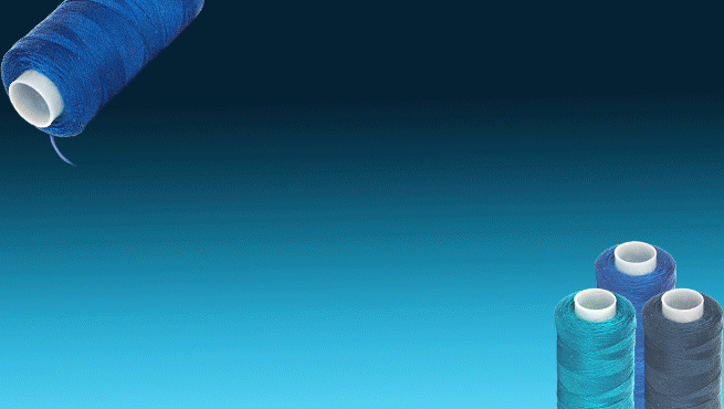 Carte de voeux de l'Echoppe pour l'année 2016