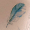 PLUME